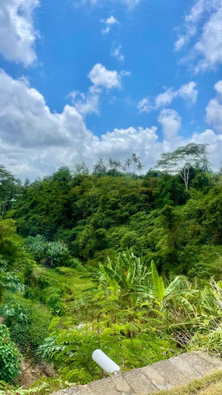 Solana Wellness Retreat Hotell Ubud Eksteriør bilde
